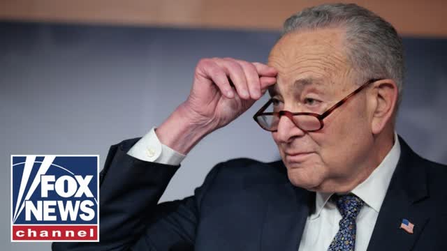 �SCARED OLD MAN�: Emmer says Schumer clinging to power amid shutdown