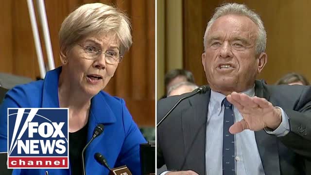 Elizabeth Warren, RFK Jr get into SHOUTING match: 'YOU SHOULD RESIGN'