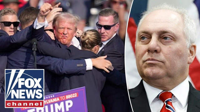 One side tries to ‘demonize’ Trump: Steve Scalise