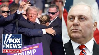 One side tries to ‘demonize’ Trump: Steve Scalise