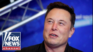 We need someone like Elon Musk: Lahren