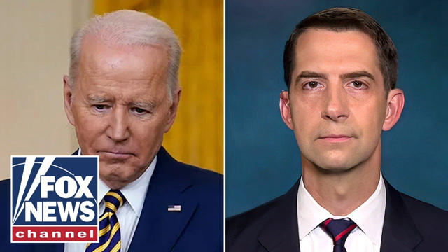 Tom Cotton warns 'little Gazas' will emerge across US if Biden is reelected