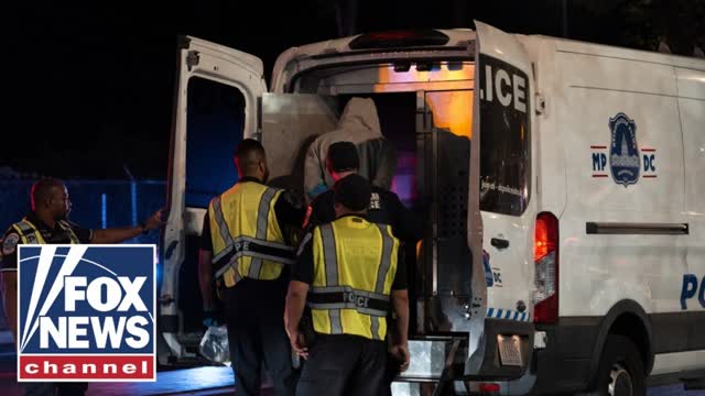 ICE agent badly injured after deadly traffic stop: Report