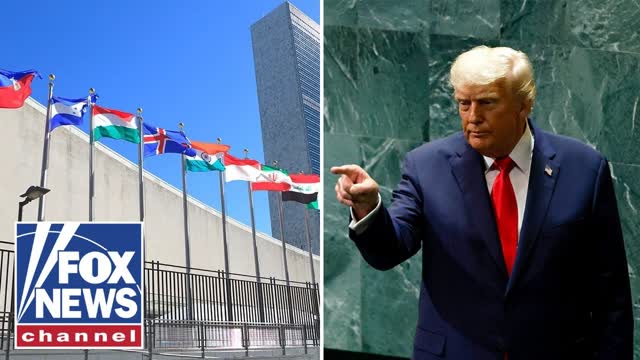 'YOUR COUNTRIES ARE GOING TO HELL': Trump has blunt message for UN
