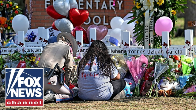 Curtailing Mass Shootings, What Steps Can America Take? | The Fox News Rundown