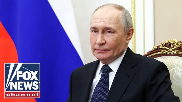 Putin is the �opposite� of peacemaker: Levin