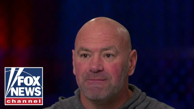 These women are unbelievable: Dana White
