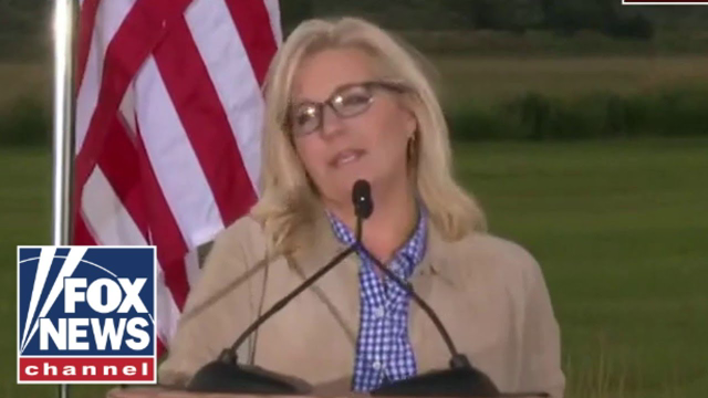 Liz Cheney concedes