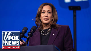 Harris delivers remarks at a campaign rally in Pennsylvania