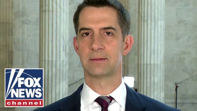 Sen. Cotton: Biden's 'rank incompetence' caused this