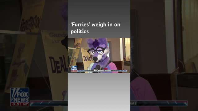 'Jesse Watters Primetime' visits a furry convention #shorts