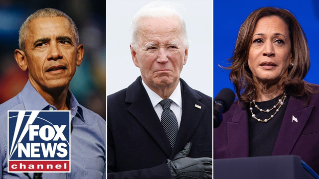 DEMS 'DOWN BAD': Democrats had a ‘tough cycle,’ ex-Obama spox concedes