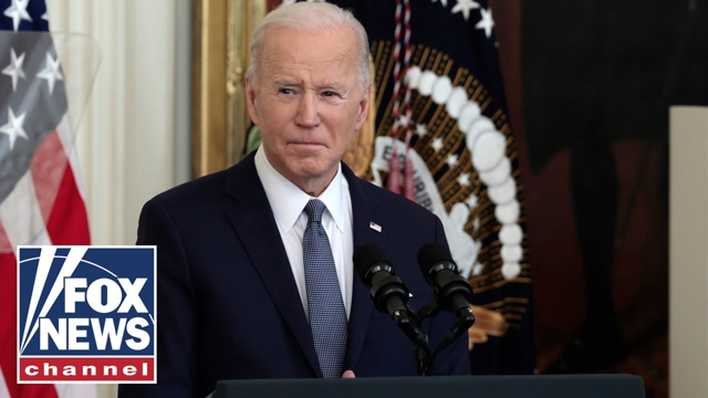 Gingrich: Biden, Harris are out of touch with reality as GOP leads in polls