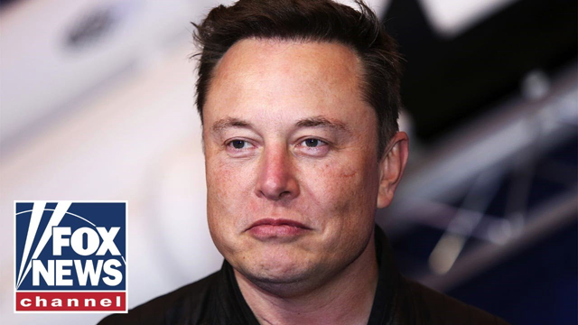 Elon Musk now Twitter's biggest shareholder