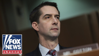 Sen. Cotton: I just can't believe this is happening