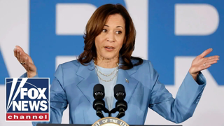 Ainsley: The Democrats' nominee got 0 votes