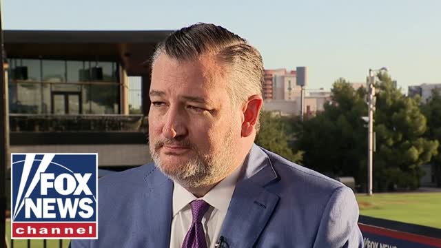 Ted Cruz sounds OFF on Dems: 'So much anger and hate