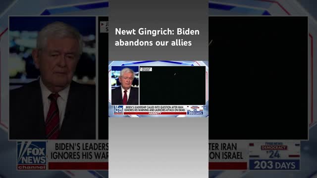 Newt Gingrich: This is a moment of total insanity #shorts