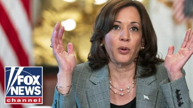 Dems are ‘dead wrong’ to think this is their solution: Kaylee McGhee White