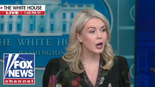 Leavitt RIPS Dems: 'RECKLESS AND DANGEROUS!'