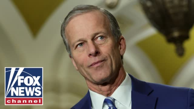 John Thune reveals if he�s found 5 Democrats who could reopen the government