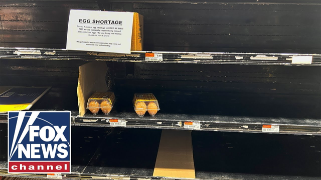 USDA predicts spike in egg prices amid bird flu, egg shortages