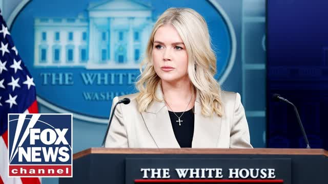 Karoline Leavitt briefs on efforts to reopen government after 'Democrat shutdown'