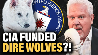 Extinct Wolf Species Brought Back to Life — Did the CIA Fund It?