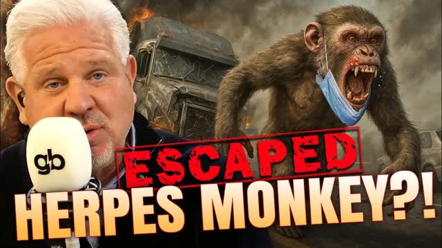 Truck Crash Unleashes DISEASED MONKEYS in Mississippi... What is Going On?!