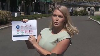 NEW: Karoline Leavitt BATTLES Reporters on Tariffs and Deportations