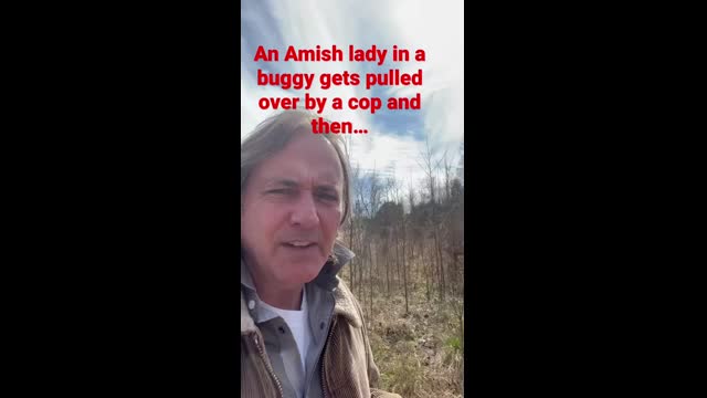 An Amish lady in a buggy gets pulled over by a cop and then... #shorts