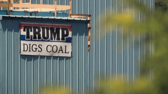 Trump; America Interrupted (2020)