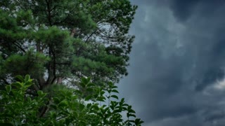 Climate Meltdown Ivy League Scientists Expose Climate Fraud