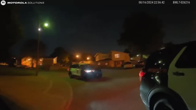 BODYCAM  Ohio woman arrested for eating a cat