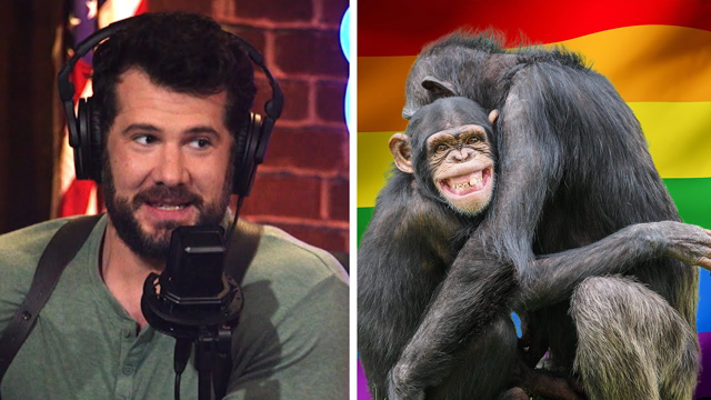 Is Monkeypox a Gay Thing?! | Louder With Crowder