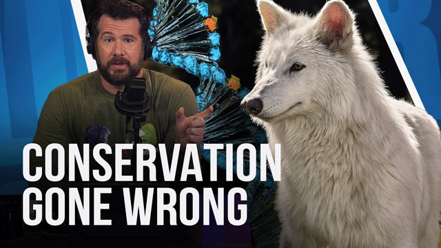Why Conservation Efforts Do More Harm Than Good