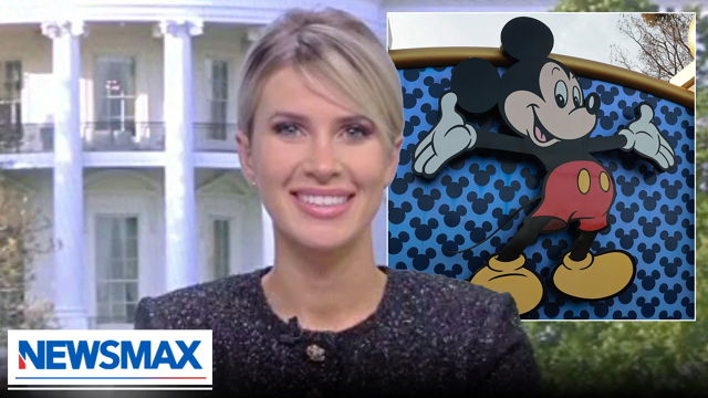 Disney loses by catering to the minority: Caroline Sunshine | National Report