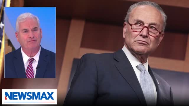 Schumer's partisan shutdown is so damaging: Emmer | The Record with Greta Van Susteren