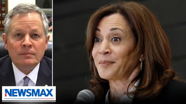 Kamala Harris would be 'soundly beat' in 2028: Sen. Steve Daines | National Report