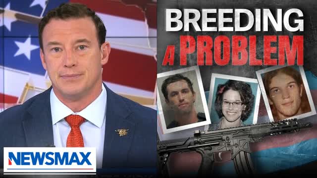 Carl Higbie: Kirk's assassination isn't some 'sick, twisted, trans, furry love story'