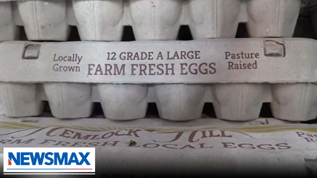Egg prices SOAR across America, especially in Florida: REPORT