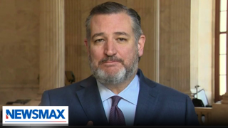 Cruz: Biden to stay locked in 'same basement' for 2024 | Wake Up America