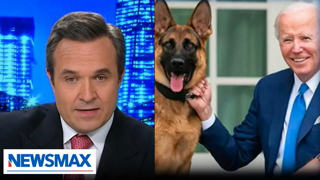 Greg Kelly: Joe Biden's dog is the man of his house, not him