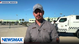 Mexican Defense Forces make massive drug bust, seize meth labs: Report | National Report