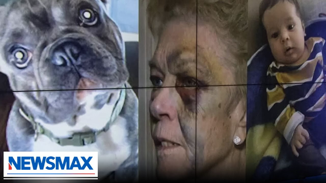 Dogs, babies, elderly not safe in Biden's America | 'Eric Bolling The Balance'