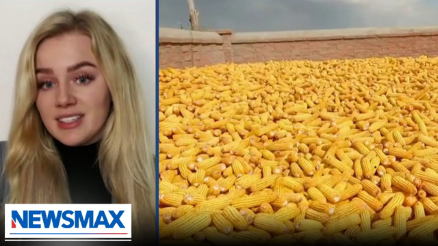 CLIMATE CHANGE CONTROVERSY: Dutch farmers have had enough