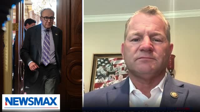 You can blame Schumer for reduction in flights: Troy Nehls | The Record with Greta Van Susteren