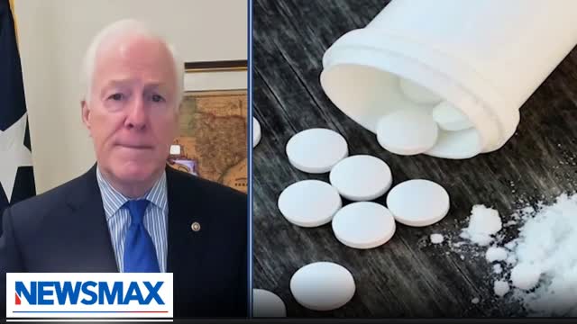'Stop the poison': Texas Senator praises Trump combatting fentanyl crisis | National Report