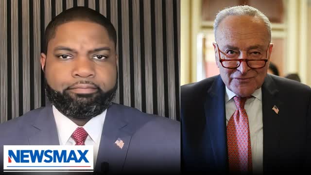 Schumer's 'trying to prove that he's tough': Byron Donalds