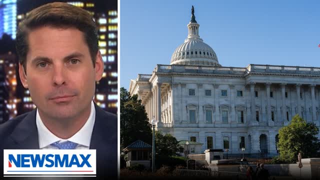 Finnerty: Dems shut government down just to 'gain edge' over Trump